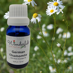 Wonderful Scents German Chamomile Essential Oil