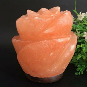 Wonderful_Scents_Rose_Himalayan_Salt_Lamp